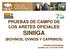 PRUEBAS DE CAMPO DE LOS ARETES OFICIALES SINIIGA (BOVINOS, OVINOS Y CAPRINOS)