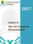 ANEXO N.- Tipos de Programas Presupuestarios