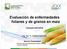 Evaluación de enfermedades foliares y de granos en maíz