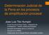 Determinación Judicial de la Pena en los procesos de simplificación procesal