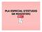 PLA ESPECIAL D ESTUDIS DE MAGISTERI