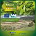 Restaurando los hábitats de los estuarios. PROYECTO LIFE08NAT/E/ Restauración de hábitats de interés comunitario en estuarios del País Vasco