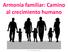Armonía familiar: Camino al crecimiento humano. Psic. Irene Rodríguez Rivera