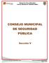 Manual de Procedimientos Consejo Municipal de Seguridad Pública