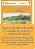 Programa de cultivo de paiche en estanques de productores en la Amazonia Peruana