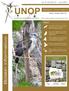 UNOP. Boletín informativo. Unión de Ornitólogos del Perú ÍNDICE. Boletín informativo. Vol. 6 Número 01 - Junio 2011 ISSN