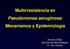Multirresistencia en Pseudomonas aeruginosa: Mecanismos y Epidemiología. Antonio Oliver Servicio de Microbiología H. Son Dureta