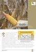 maíz maíz Campaña 2003maíz