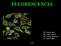 FLUORESCENCIA. TM. Franna Bacic TM. Pablo Cabrera TM. Carlos Zamorano BQ. Javiera villar