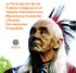 La Participación de los Pueblos Indígenas en el Sistema Interamericano: Mecanismos Existentes y Nuevas Herramientas Propuestas