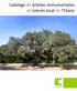 catálogo de árboles monumentales de interés local Catálogo de árboles monumentales de interés local de l Eliana