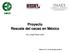 Proyecto Rescate del cacao en México