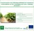 Caracterización de la Biodisponibilidad de Compuestos Antioxidantes en Dos Variedades de Fresa. Campaña 2016/2017