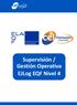 Supervisión / Gestión Operativa EJLog EQF Nivel 4