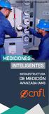 Compañía Nacional de Fuerza y Luz S,A MEDICIONES INTELIGENTES INFRAESTRUCTURA DE MEDICIÓN AVANZADA (AMI)
