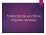 Potencial de acción e impulso nervioso