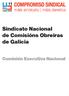 Sindicato Nacional de Comisións Obreiras de Galicia. Comisión Executiva Nacional