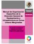 Manual de Organización Específico de la Dirección General de Equipamiento e Infraestructura en Zonas Urbano Marginadas