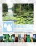 Situación del Recurso Hídrico en Guatemala. Documento Técnico del Perfil Ambiental de Guatemala RECURSOS NATURALES NO RENOVABLES SÓLIDOS