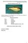 Dorosoma cepedianum es considerado como un pez basura que compite con peces deportivos valiosos (Morris, 2001). Información taxonómica