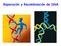 Reparación y Recombinación de DNA