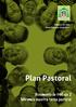 Diócesis de Jaén Curso Pastoral Plan Pastoral