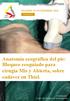 Anatomía ecográfica del pie: Bloqueo ecoguiado para cirugia Mis y Abierta, sobre cadáver en Thiel.