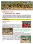 KENIA 9/11 Días Mezcla étnica + Ext. Amboseli