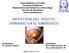 Universidad de Los Andes Facultad de Medicina Departamento de Obstetricia y Ginecología Servicio de Obstetricia Curso Introductorio