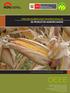 OEEE PRECIOS EN MERCADOS INTERNACIONALES DE PRODUCTOS AGROPECUARIOS. Boletín N 7 Año 11 Julio 2013 OFICINA DE ESTUDIOS ECONOMICOS Y ESTADISTICOS