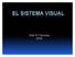 EL SISTEMA VISUAL. Aldo R. Ferreres 2018