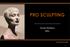 PRO SCULPTING FICHA TÉCNICA