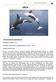 ORCA I ANTECEDENTES GENERALES. NOMBRE COMÚN: Orca. NOMBRE CIENTÍFICO: Orcinus orca (Linnaeus, 1758) CARACTERÍSTICAS