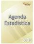 Agenda Estadística 2008