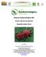 Reporte Epidemiológico 004 Ácaro rojo de las palmas Raoiella indica Hirst
