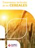 Tratamientos herbicidas de los CEREALES
