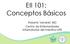 EII 101: Conceptos Básicos. Roberto Vendrell MD Centro de Enfermedades Inflamatorias del Intestino-UPR
