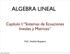 ALGEBRA LINEAL. Capítulo I: Sistemas de Ecuaciones lineales y Matrices. MsC. Andrés Baquero. jueves, 7 de mayo de 15