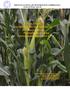 SERVICIO NACIONAL DE METEOROLOGÍA E HIDROLOGÍA Gestión de Riesgo Agrícola. BOLETÍN AGROMETEOROLÓGICO Mensual Nº36 Pronóstico para Septiembre del 2013