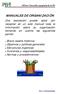 MANUALES DE ORGANIZACIÓN