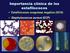Importancia clínica de los estafilococos. Estafilococos coagulasa negativa (ECN) Staphylococcus aureus (ECP)