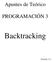 Apuntes de Teórico PROGRAMACIÓN 3. Backtracking. Versión 1.4