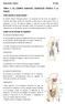 TEMA 1: EL CUERPO HUMANO, ELERCICIO FÍSICO Y LA SALUD