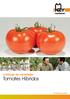 Catálogo de variedades. Tomates Híbridos