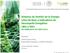 Sistemas de Gestión de la Energía: Línea de Base e Indicadores de Desempeño Energético LBEn e IDEn ISO 50006:2014, ISO 50015:2014