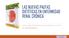LAS NUEVAS PAUTAS DIETÉTICAS EN ENFERMEDAD RENAL CRÓNICA. Dra. Ana Mª Oltra Benavent