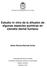 Estudio in vitro de la difusión de algunas especies químicas en esmalte dental humano. Gelen Patricia Bernett Zurita