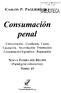 Consumación penal CARLOS P. PAGLIER9690TECA1. Consumación. Condición. Causa Causación. No-evitación. Frustración Consumación hipotética.