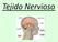 Respuesta a estímulos externos e internos: sistema nervioso y endocrino