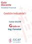 Guía Docente Modalidad Presencial. Gestión Industrial I. Curso 2017/18. Grado en. Ing. Forestal